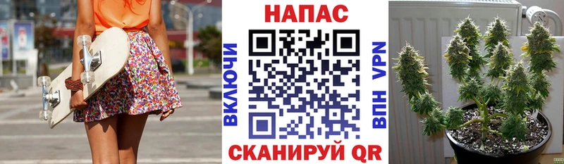 Купить где  Хадыженск  Каннабис Bruce Banner 